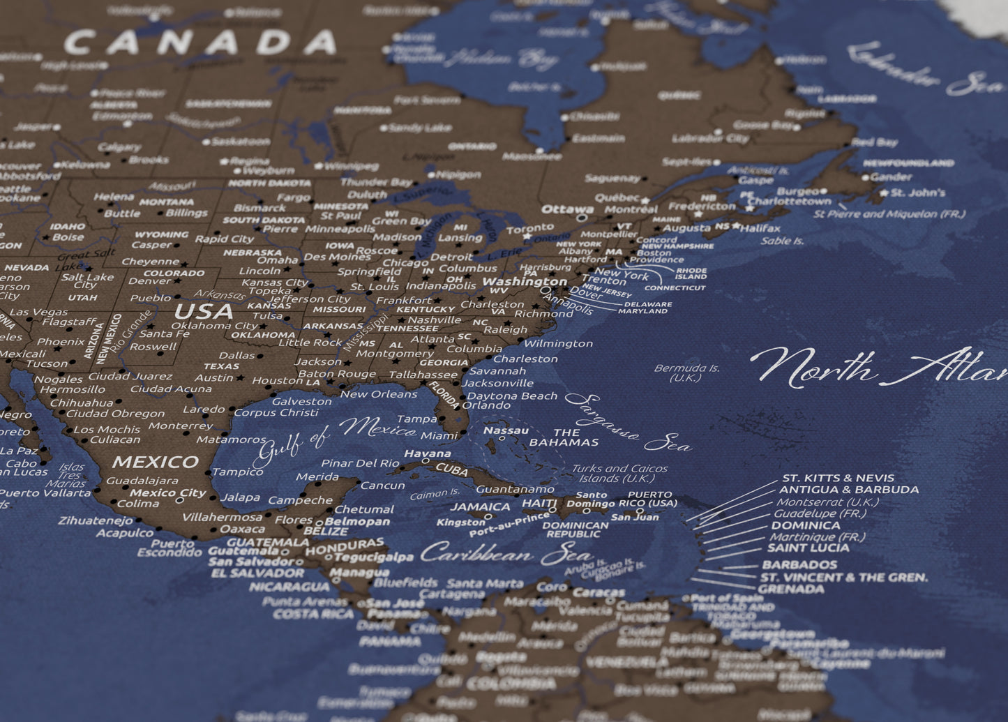 Carte du Monde Personnalisée sur Toile avec Épingles - Terre Brute
